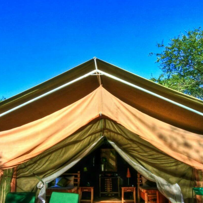Asanja Camp