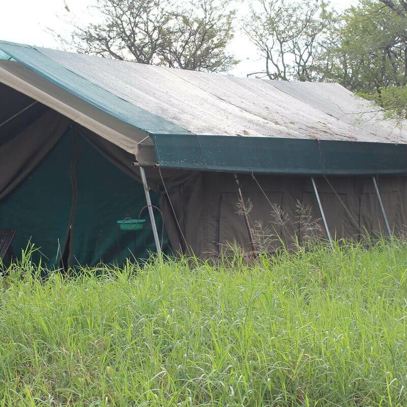 Asanja Camp