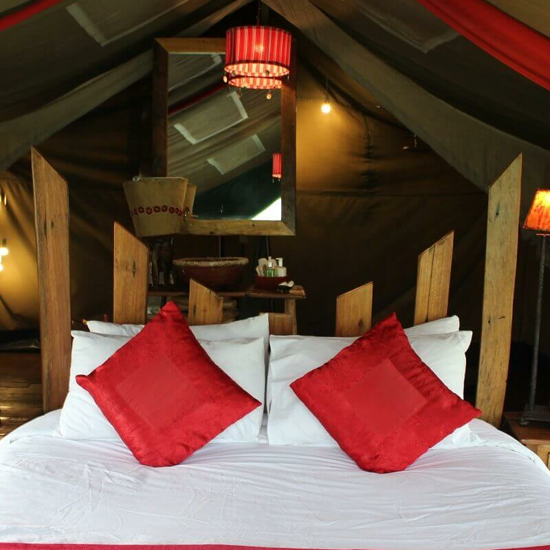 Asanja Camp