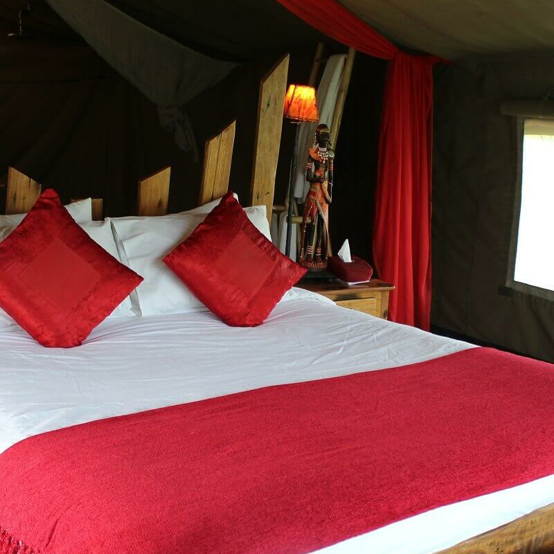Asanja Camp