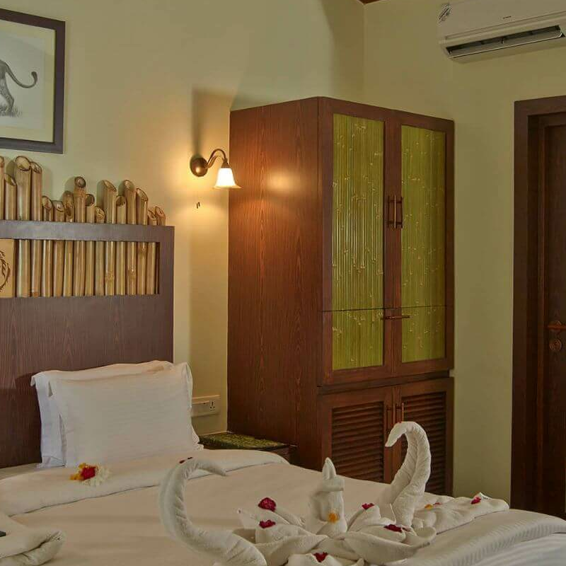 Asiatic Lion Lodge