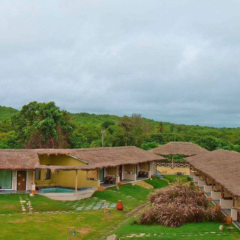 Asiatic Lion Lodge