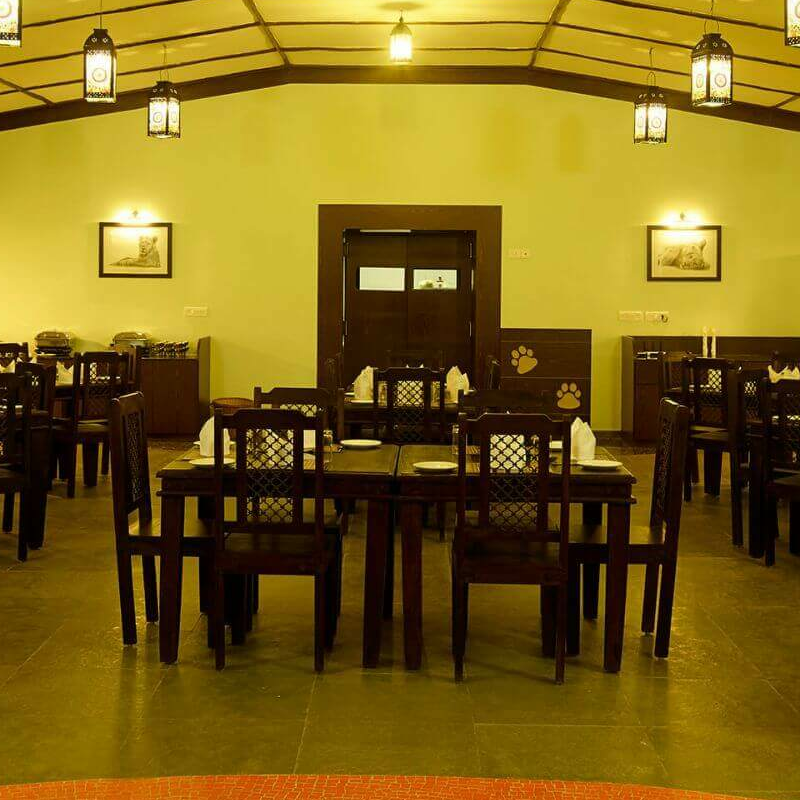 Asiatic Lion Lodge