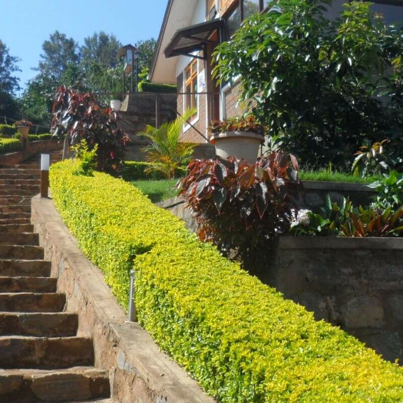 Avocado Lodge