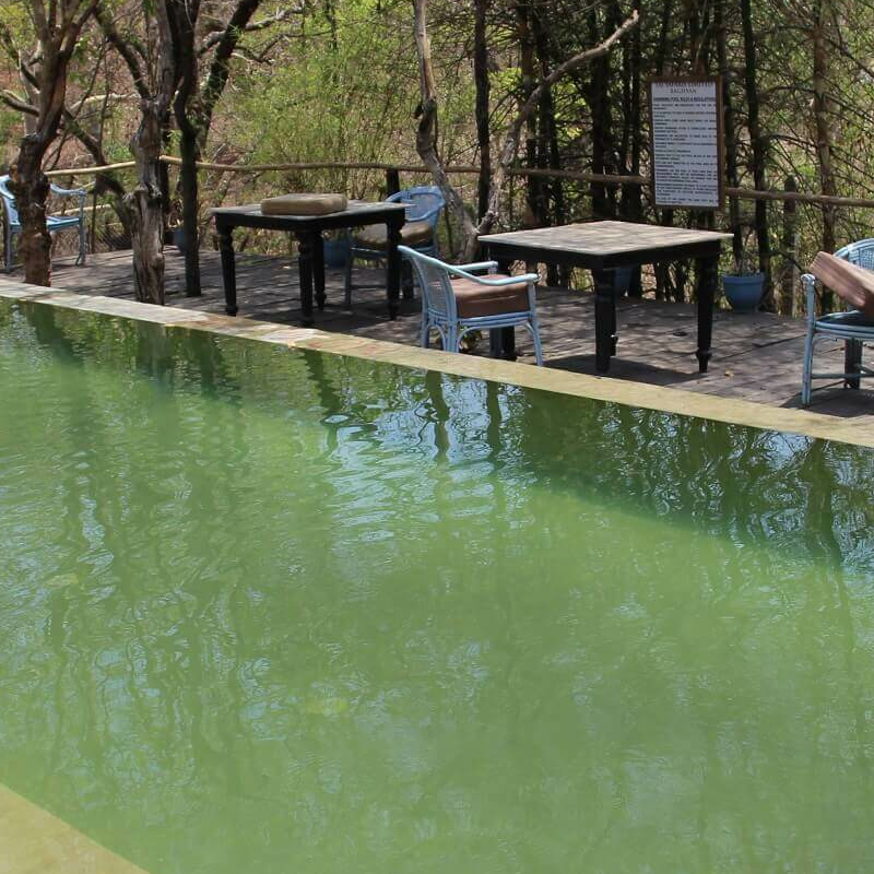 Baghvan Taj