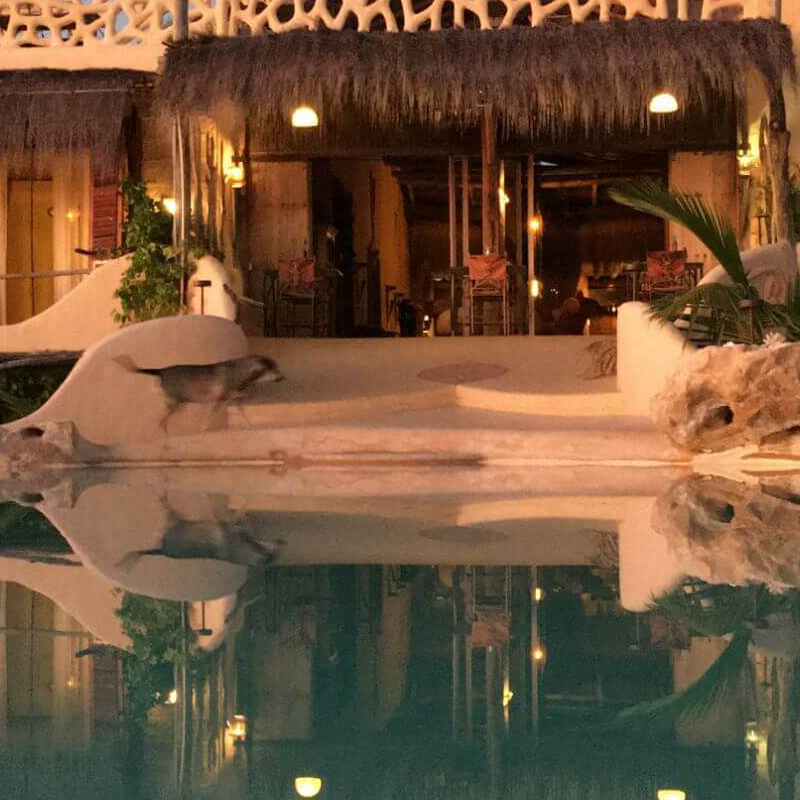 Bakuba Lodge