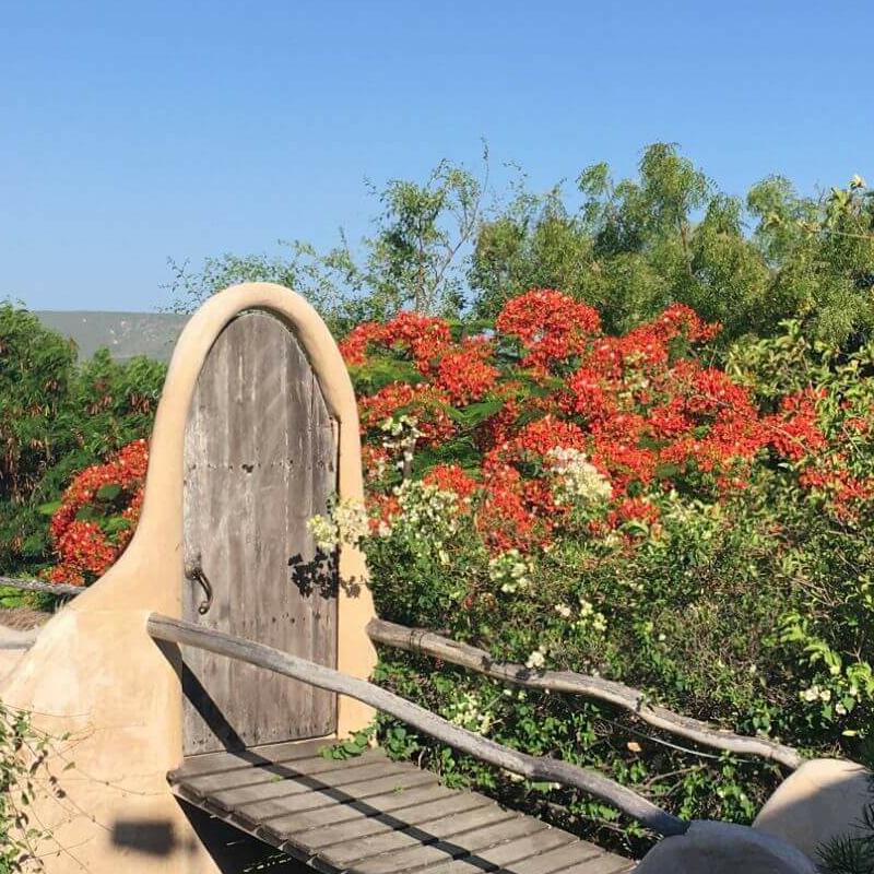 Bakuba Lodge