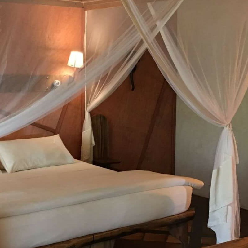 Bakuba Lodge