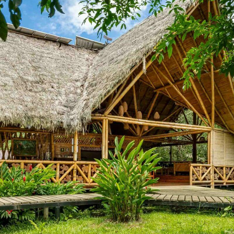 Bamboo Eco Lodge