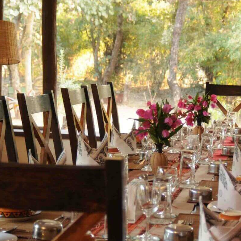 Bandhavgarh Jungle Lodge