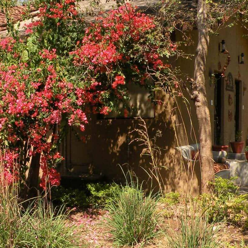 Bandhavgarh Jungle Lodge