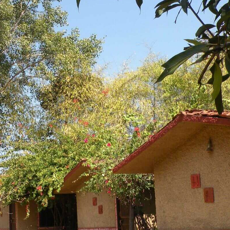Bandhavgarh Jungle Lodge