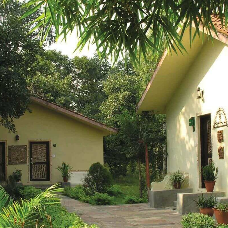 Bandhavgarh Jungle Lodge
