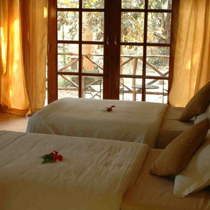 Bandhavgarh Jungle Lodge