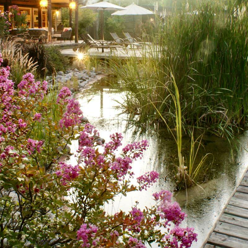 Barrica Lodge