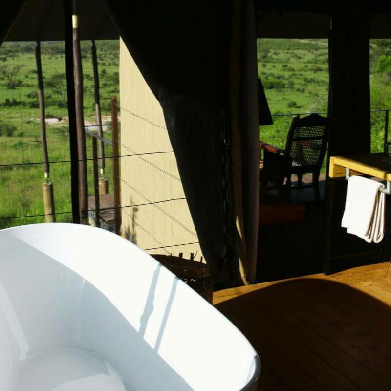 Basecamp Eagle View
