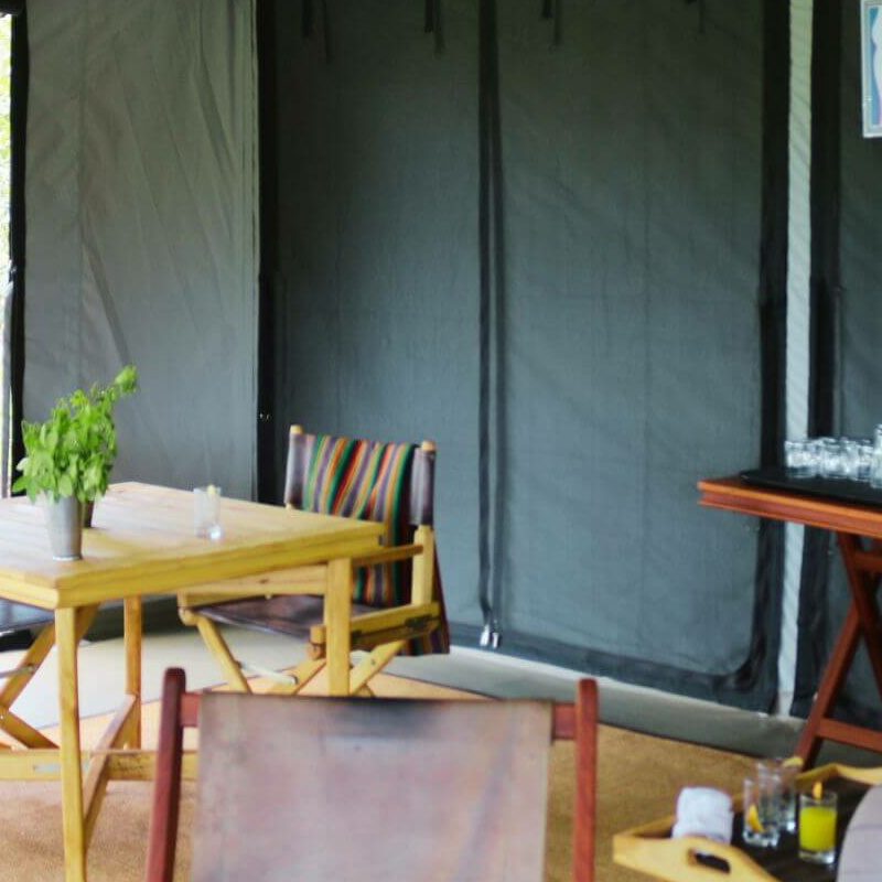 Basecamp Wilderness Camp