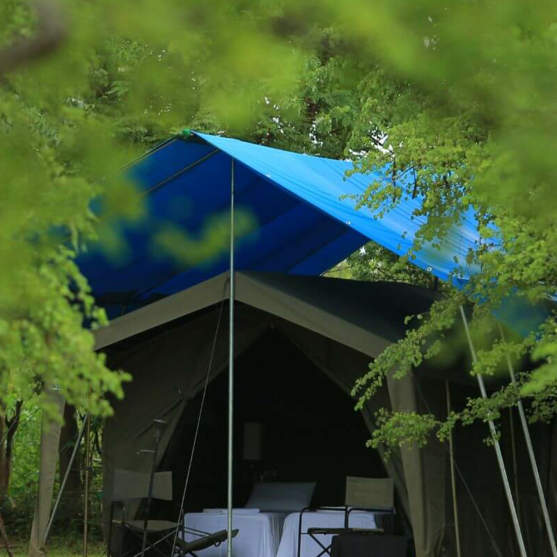 Big Game Camp Yala