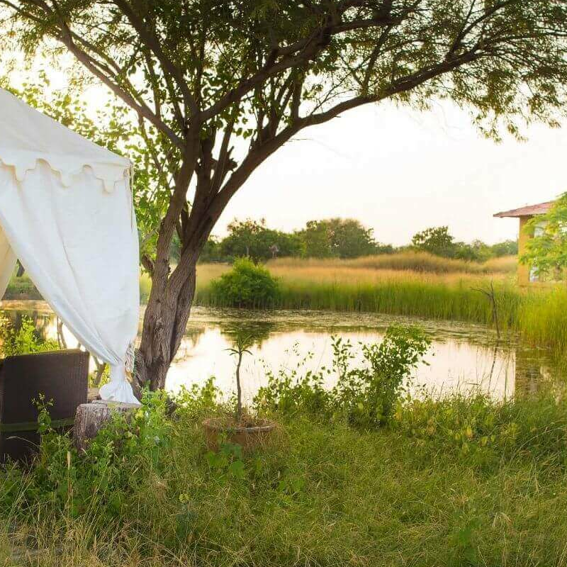 Blackbuck Lodge