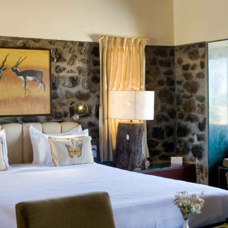 Blackbuck Lodge