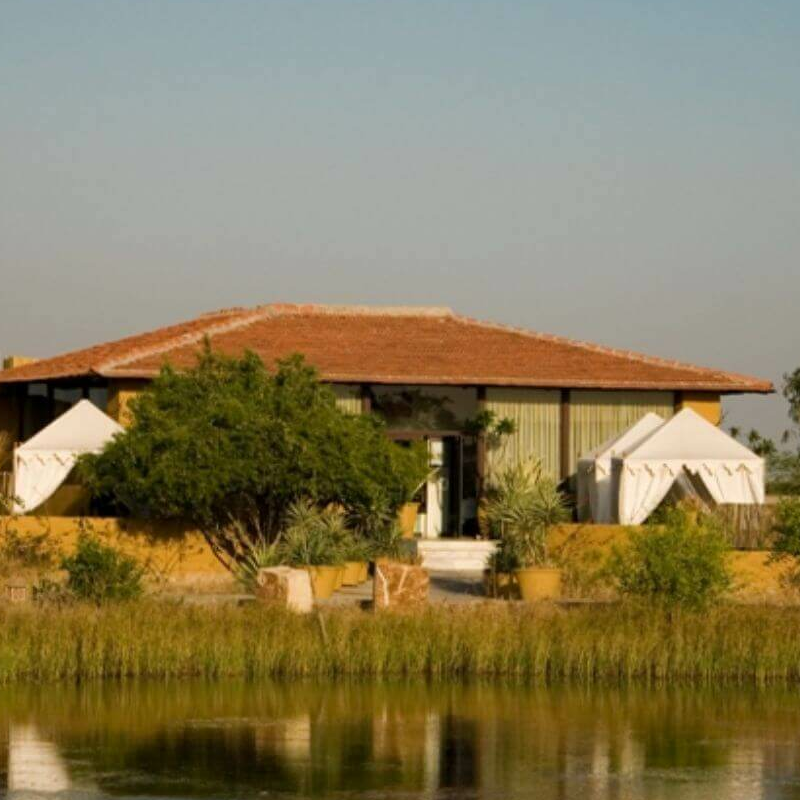 Blackbuck Lodge