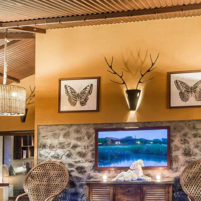 Blackbuck Lodge
