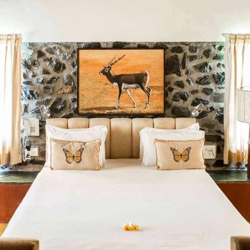 Blackbuck Lodge