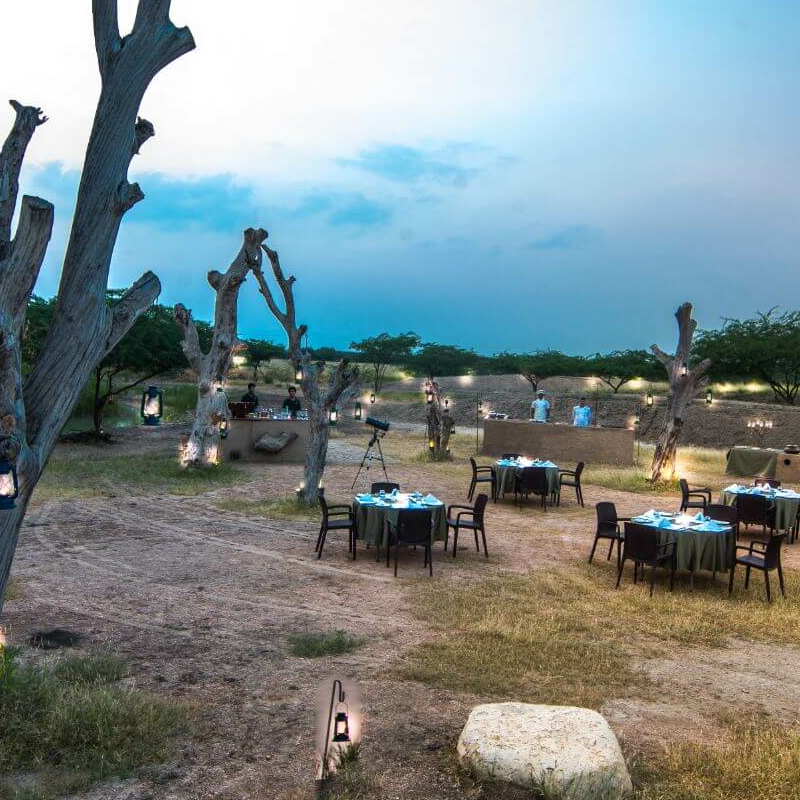 Blackbuck Lodge