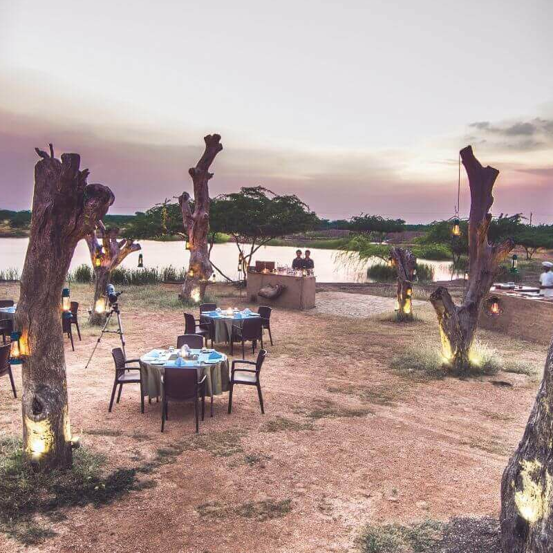 Blackbuck Lodge