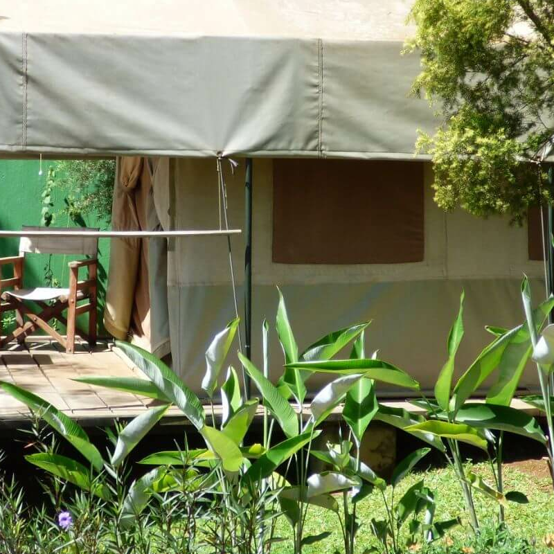 Blue Monkey Guesthouse