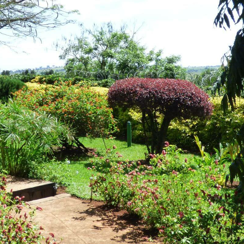 Blue Monkey Guesthouse