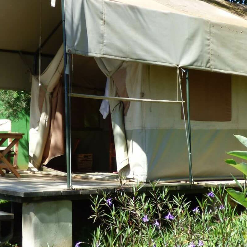 Blue Monkey Guesthouse