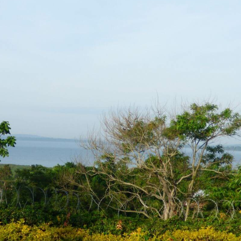 Blue Monkey Guesthouse