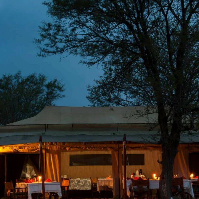 Bologonya Under Canvas