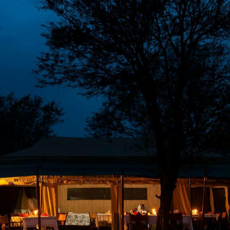 Bologonya Under Canvas