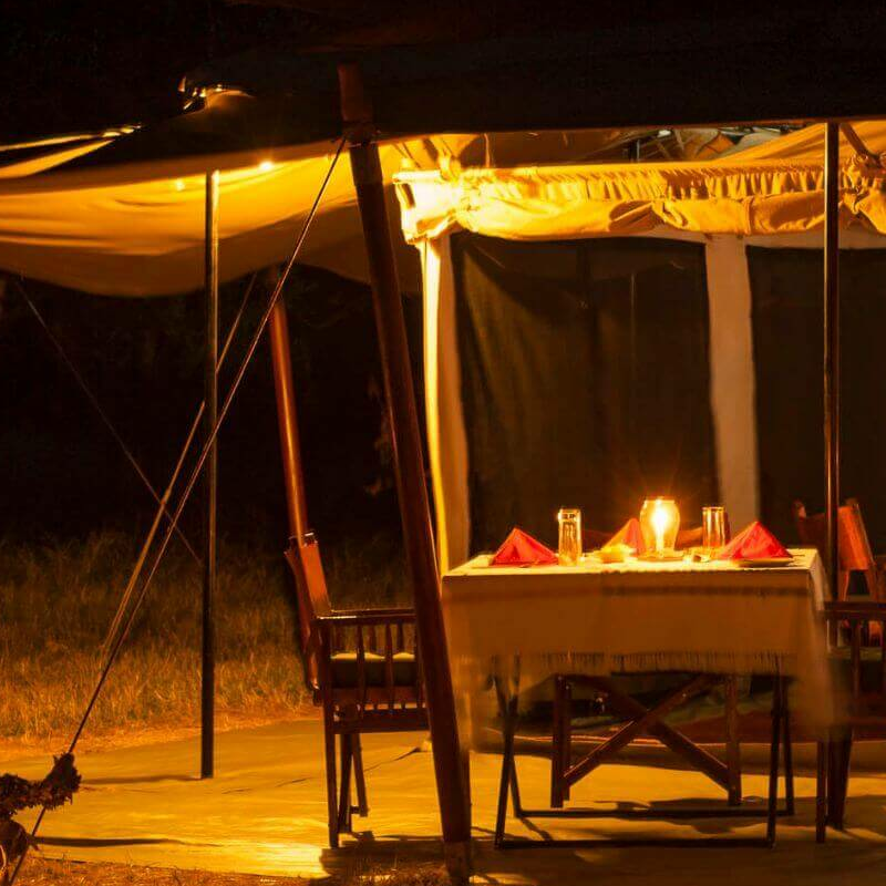 Bologonya Under Canvas
