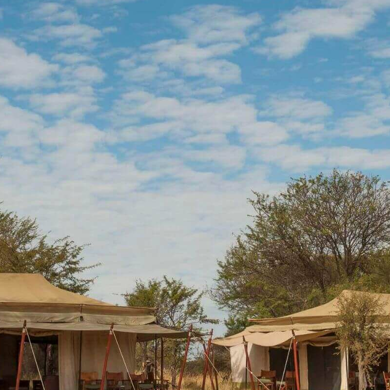 Bologonya Under Canvas