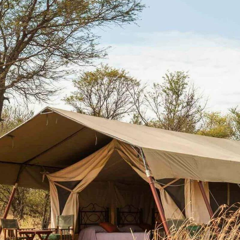 Bologonya Under Canvas