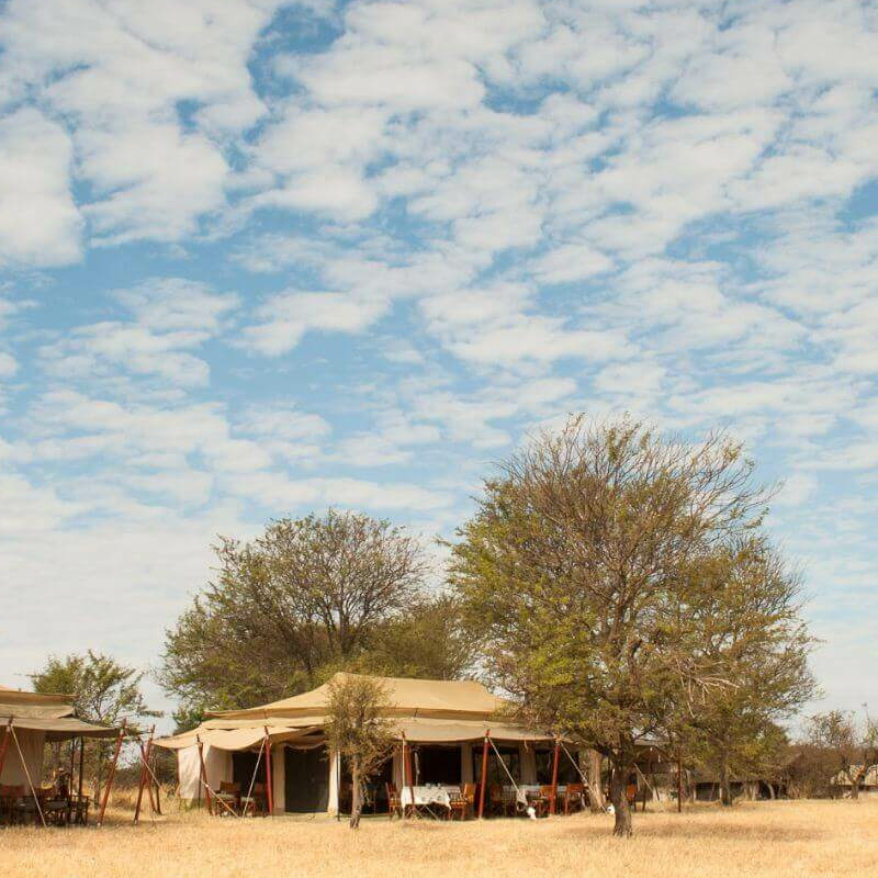 Bologonya Under Canvas