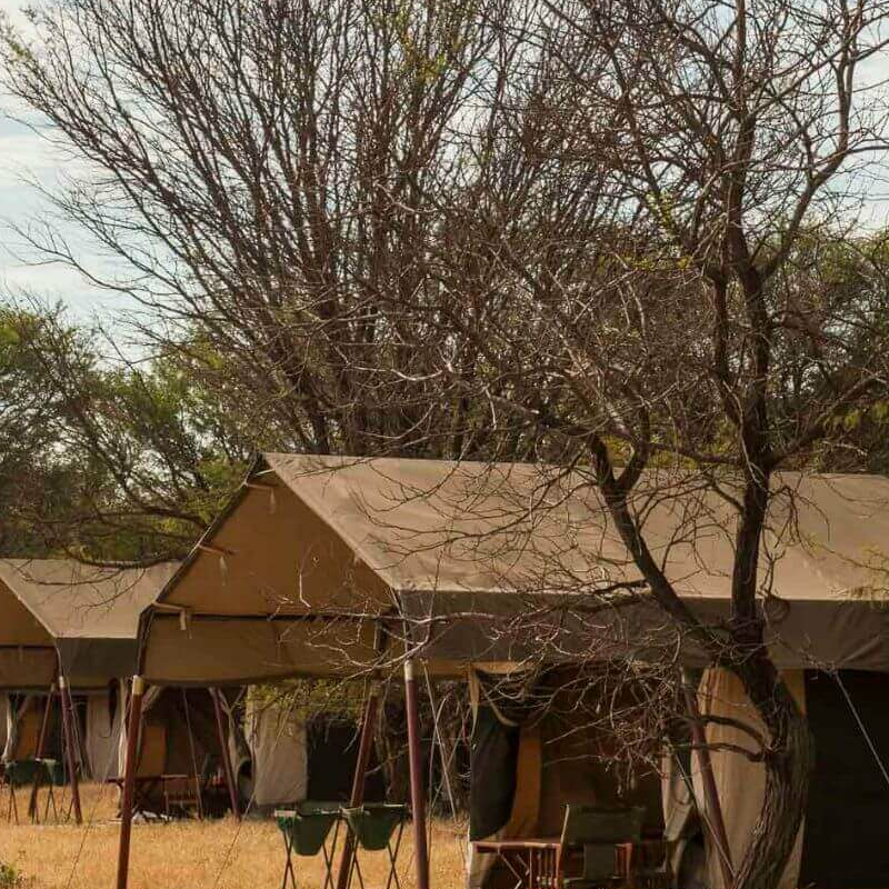 Bologonya Under Canvas