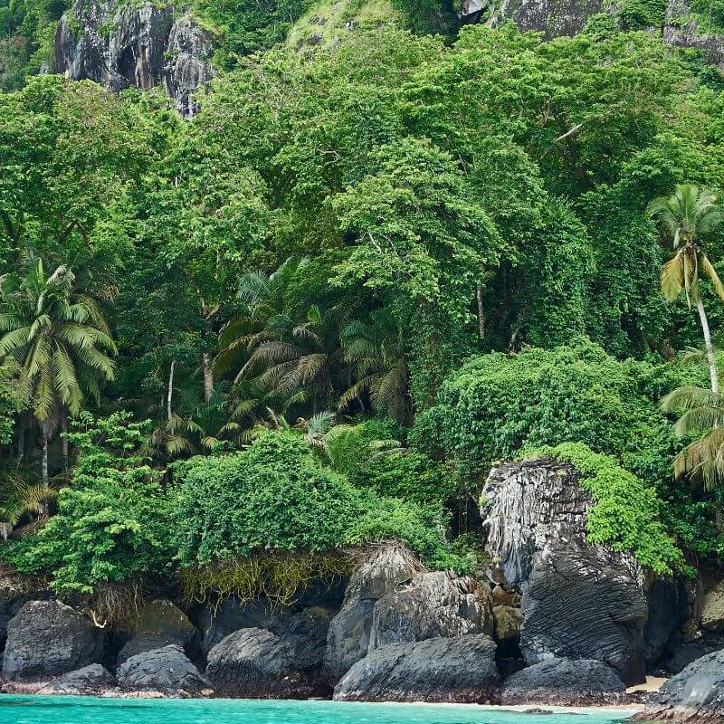 Bom Bom Principe Island