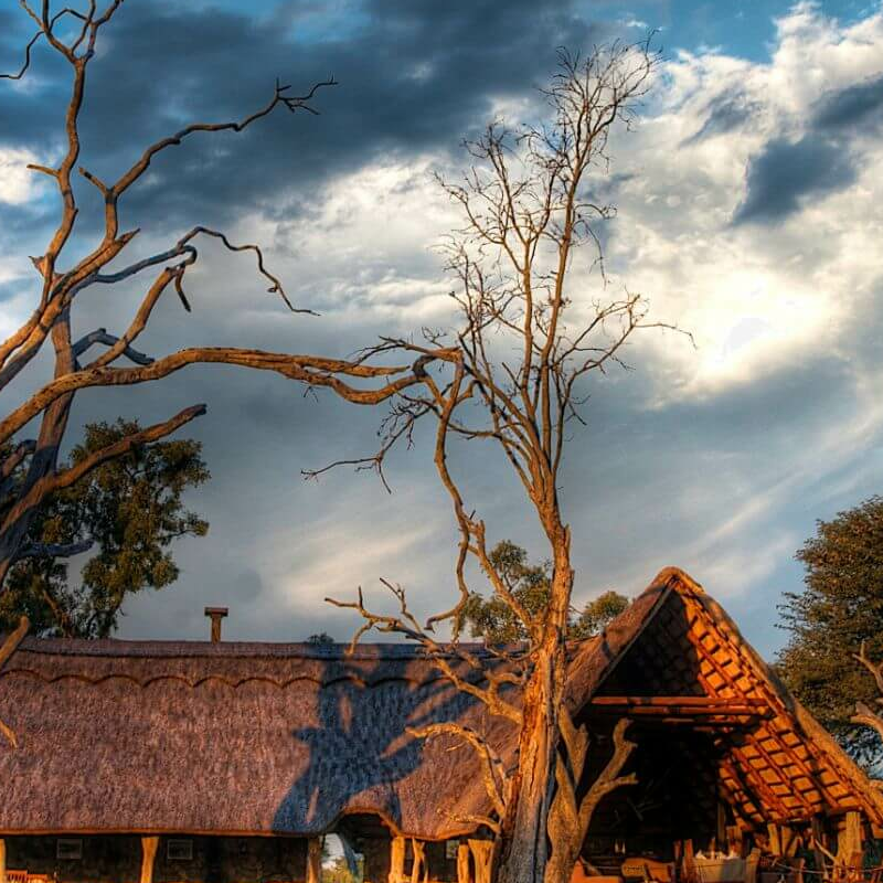Bomani Tented Lodge
