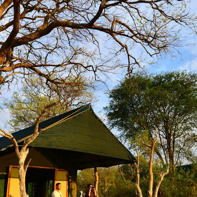 Bomani Tented Lodge
