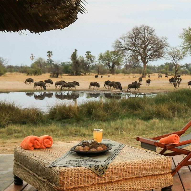 Bomani Tented Lodge