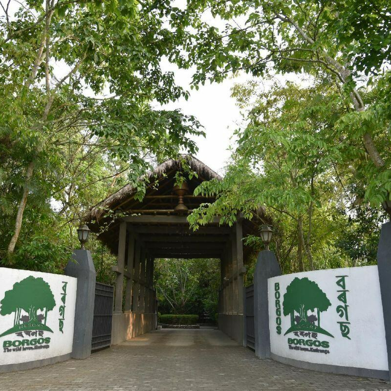 Borgos Resort Kaziranga
