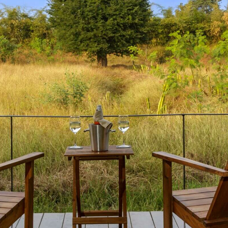 Bori Safari Lodge
