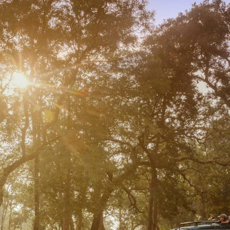 Bori Safari Lodge