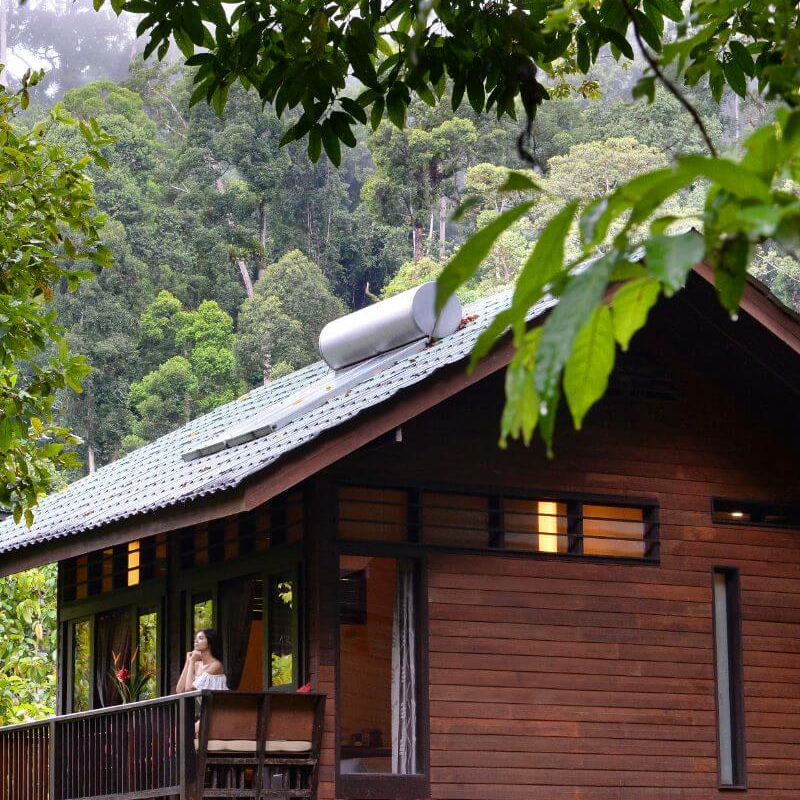 Borneo Rainforest Lodge