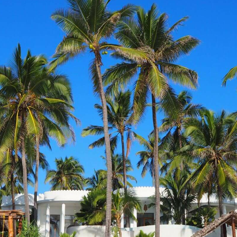 Boutique Hotel Matlai