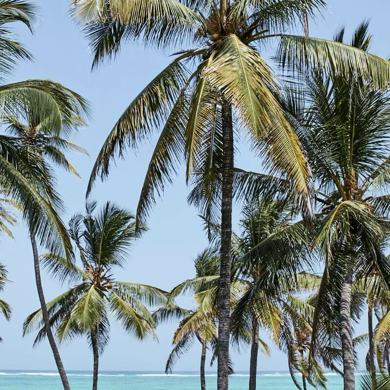 Breezes Beach Club